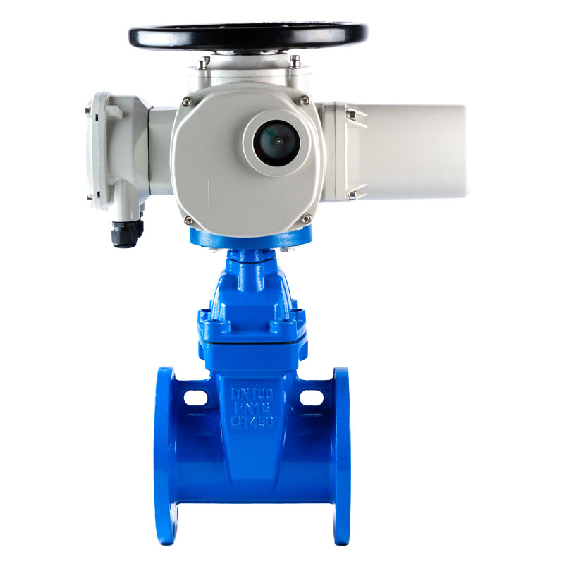 Electric Gate Valve