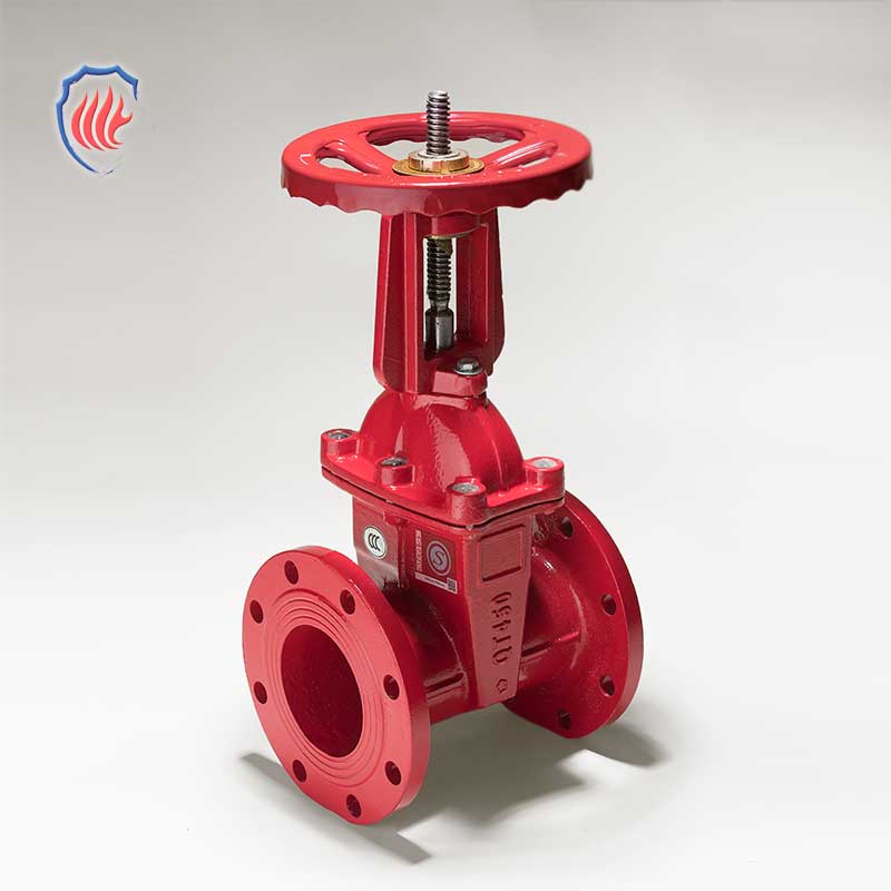 Rising Stem Flanged Gate Valve