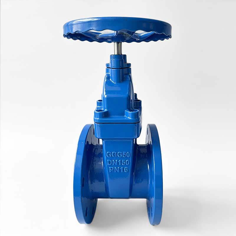 DIN Standard Non-Rising Stem Flanged Gate Valve